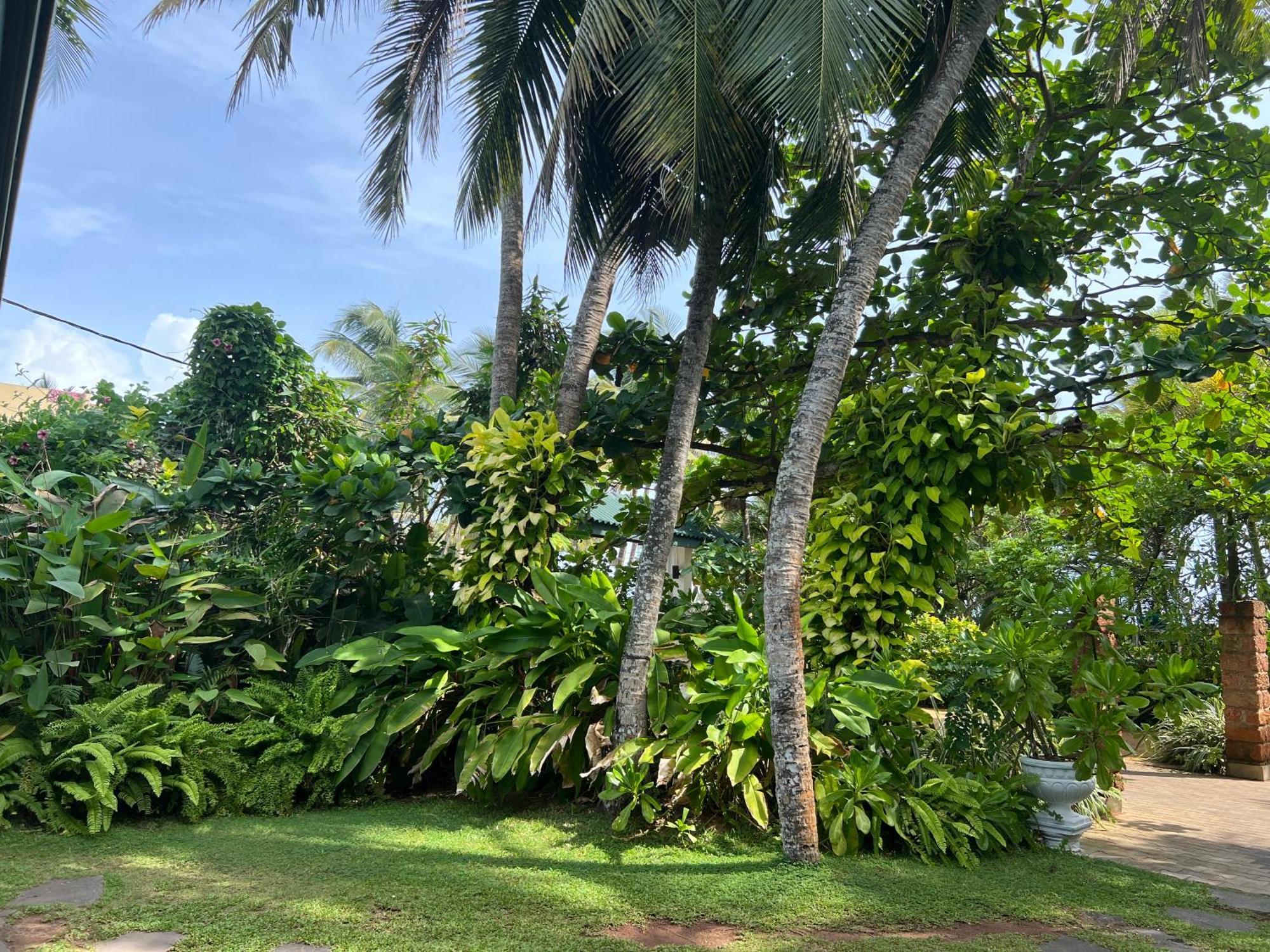 Lohas Beach Resort Villa Kalutara Luaran gambar