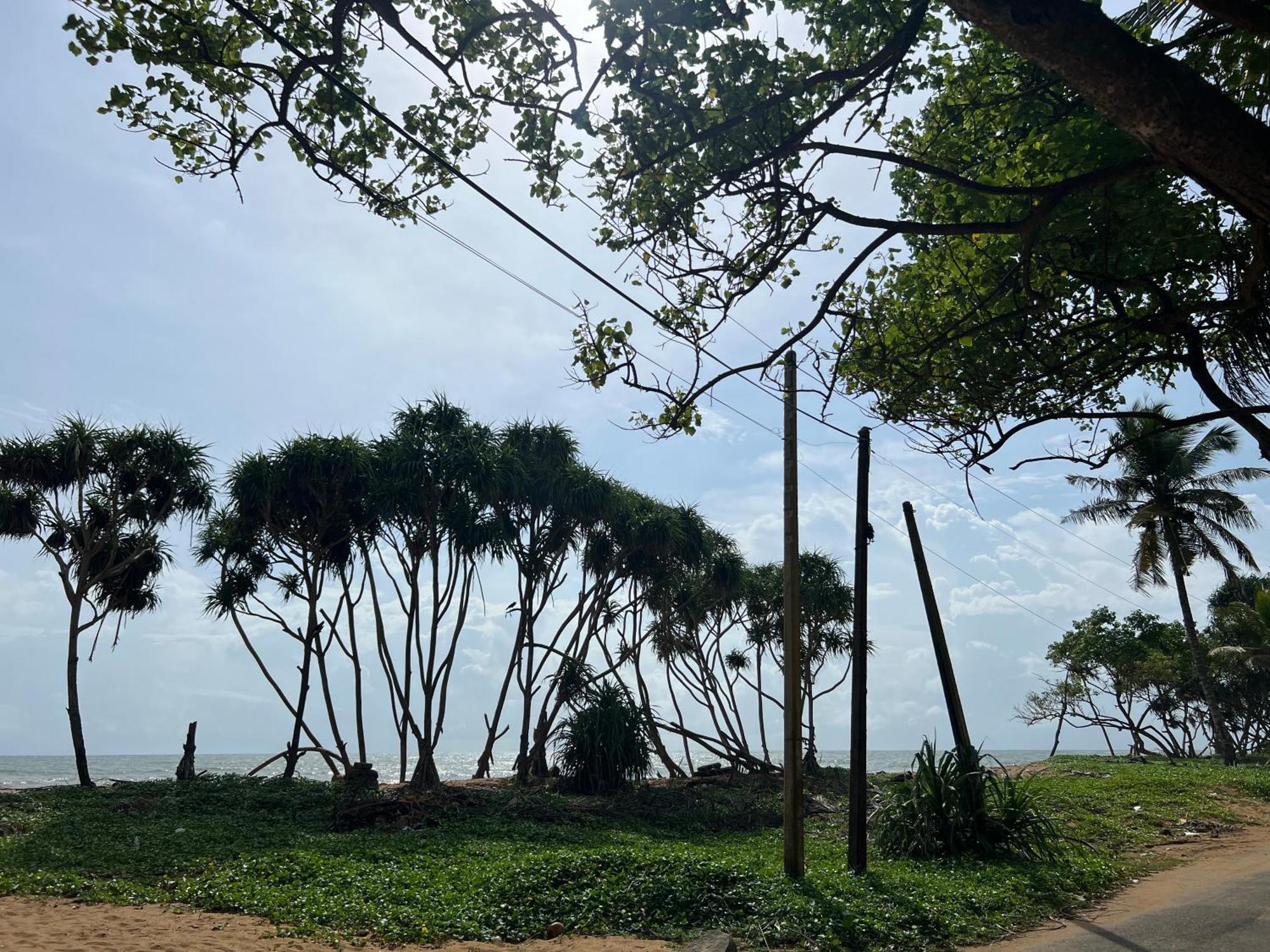 Lohas Beach Resort Villa Kalutara Luaran gambar